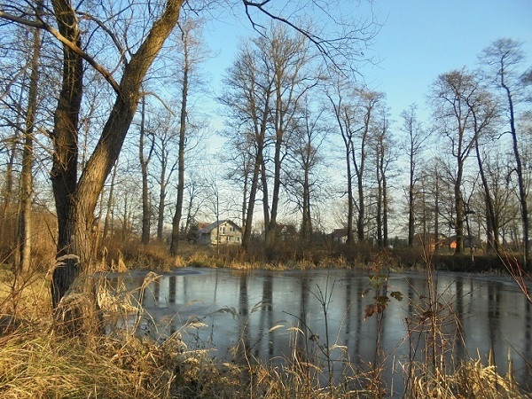 Dom Sprzedaż Kraków Kraków-Podgórze Mieczysława Wrony 16